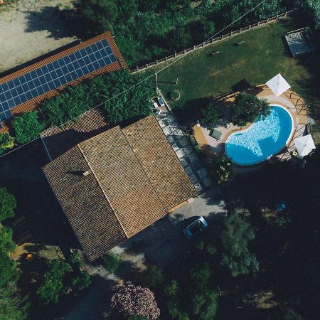 I Cedri Agriturismo Biologico Orsomarso Exterior foto